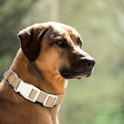 Plutus Pet Cotton Dog Collar, Heavy Duty Collar with Soft Padding, Adjustable and Comfortable for Small Medium and Large Dogs, Beige, M
