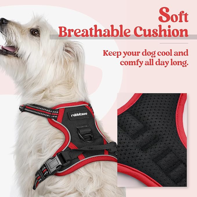 rabbitgoo Dog Harness, No-Pull Pet Harness with 2 Leash Clips, Adjustable Soft Padded Dog Vest, Reflective No-Choke Pet Oxford Vest with Easy Control Handle for Large Dogs, Black & Red, X-Small
