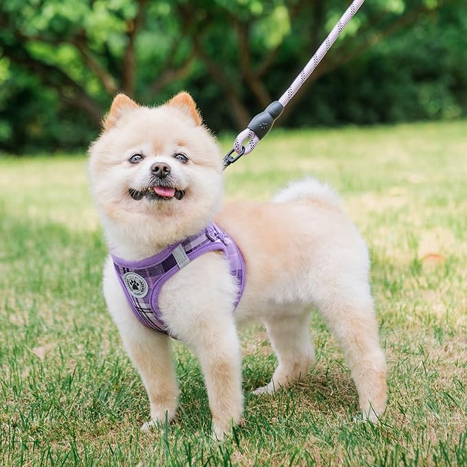 BEAUTYZOO Small Dog Harness and Leash Set,Step in No Chock No Pull Soft Mesh Dog Harnesses Reflective for Extra-Small/Small Medium Puppy Dogs and Cats, Plaid Dog Vest Harness for XS S Pets, Purple XS