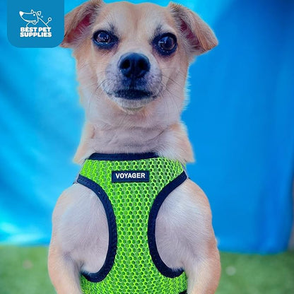 Voyager Step-in Air Dog Harness - All Weather Mesh, Reflective, No Pull Harness for Small, Medium Dogs, Cats - Secure with Hook & Loop Fastener, Buckle, Double D-Rings - Lime Green 2-Tone, XL