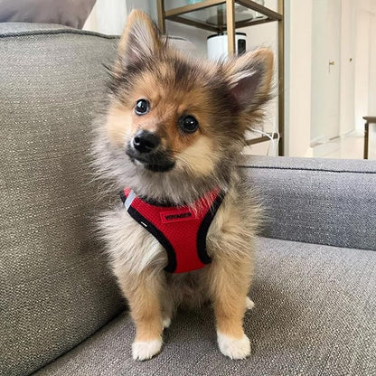 Voyager Step-in Air Dog Harness - All Weather Mesh, Reflective, No Pull Harness for Small, Medium Dogs, Cats - Secure with Hook & Loop Fastener, Buckle, Double D-Rings - Red/Black Trim, XS