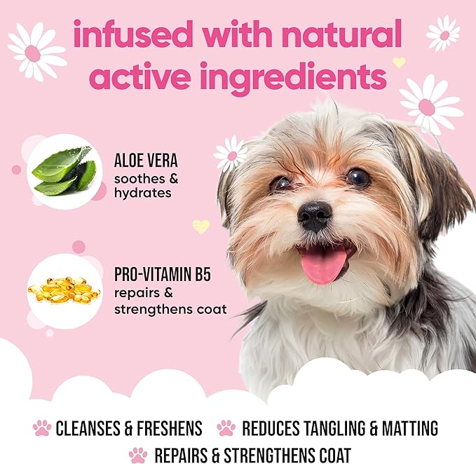Baby Fresh Dog Shampoo by Buddycare | Deep Cleansing Shampoo for Dogs | Fresh Scented | with Aloe Vera and Pro Vitamin B5 (33.81oz)