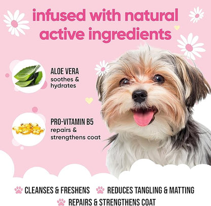Baby Fresh Dog Shampoo by Buddycare | Deep Cleansing Shampoo for Dogs | Fresh Scented | with Aloe Vera and Pro Vitamin B5 (33.81oz)