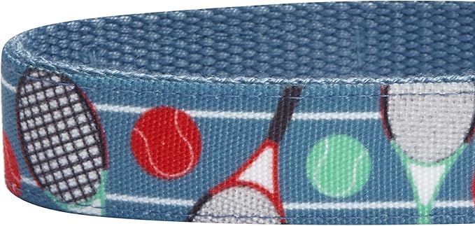 Blueberry Pet 5 Patterns Sports Fan Tennis Canvas Adjustable Dog Collar with Metal Buckle - Teal Blue, Neck 13-16.5", for Medium Breed