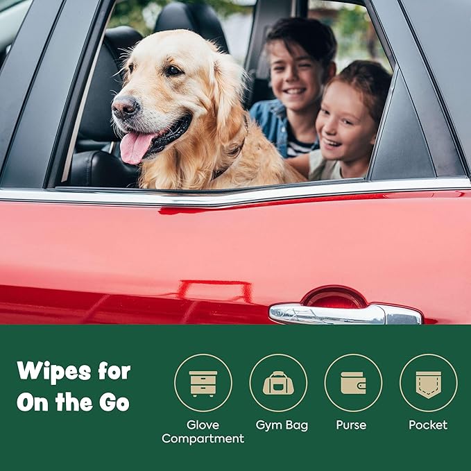 Dog Wipes for Cleaning and Deodorizing - 2 Pack of 110 8.5" x 9" Bamboo Pet Wipes - Compostable, Hypoallergenic Puppy Wipes - Dog Wipes for Paws, Butt, and Body