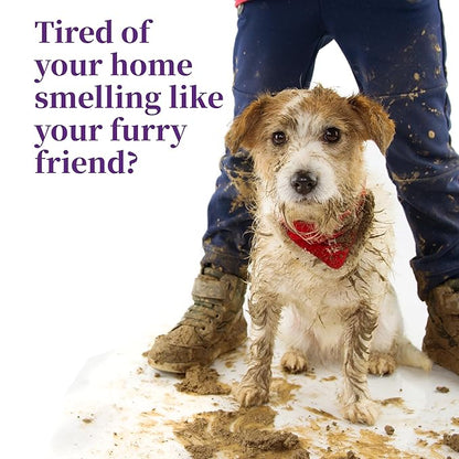 Harbor's Pet Cologne (Clean Cool Water 32oz)
