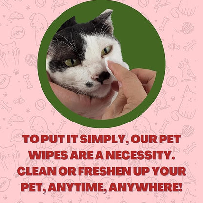 FurryFriends Pet Wipes | Strawberry | Hypo-allergenic | Alcohol Free| Deodorizing | Removes Loose Hair & Dirt | Incredibly Clean | 200 ct. 1 Pack