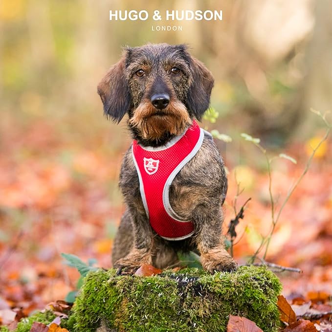HUGO & HUDSON Dog Harness No-Pull Pet Harness Adjustable Quick Dry Mesh Padded Vest, Red, L