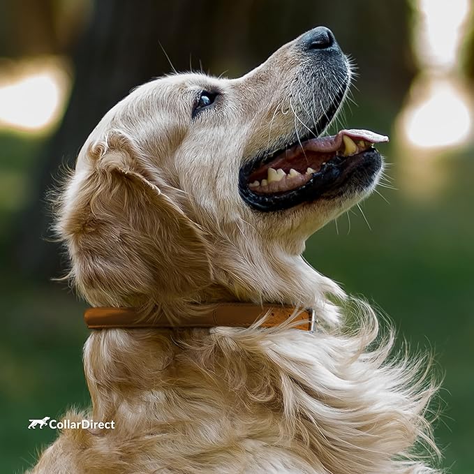 CollarDirect Rolled Leather Dog Collar, Soft Padded Round Puppy Collar, Handmade Genuine Leather Collar Dog Small Large Cat Collars 13 Colors (6-7 Inch, Cinnamon Textured)