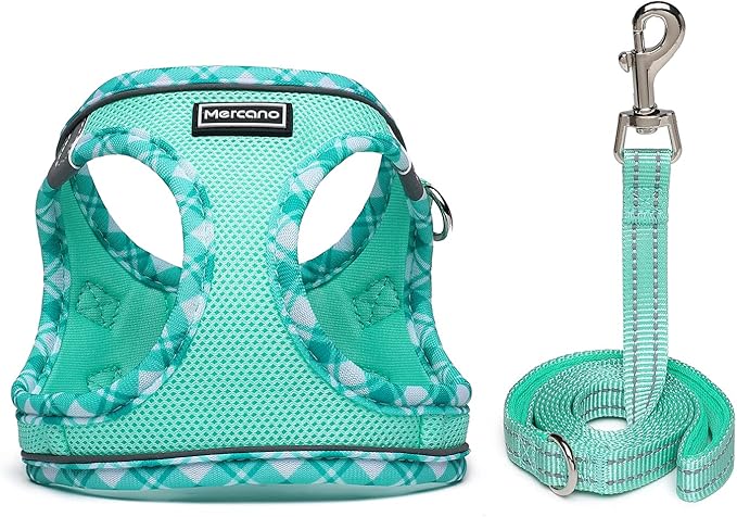 Mercano Soft Mesh Dog Harness and Leash Set, No-Chock Step-in Reflective Breathable Lightweight Easy Walk Escape Proof Vest Harnesses with Safety Buckle for Small Medium Dogs, Cats (Light Green, S)