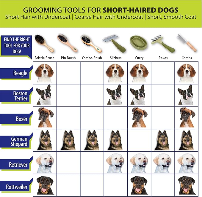 Coastal Pet Safari Dog Self-Cleaning Slicker Brush - Dog Deshedding Brush - Prevents Mats and Tangled Hair - For Dogs with Short or Long Hair - Large - 8" x 4.5"