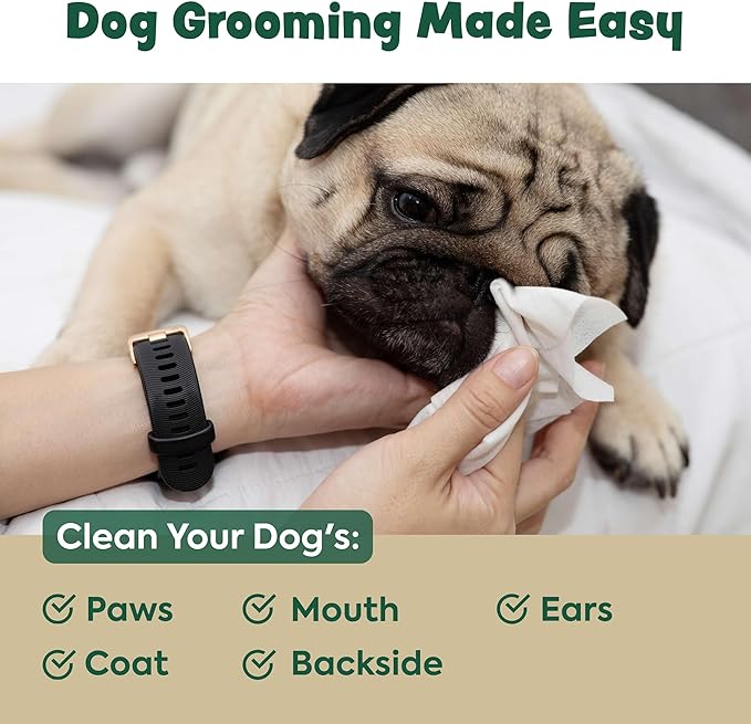 Dog Wipes for Cleaning and Deodorizing - 2 Pack of 110 8.5" x 9" Bamboo Pet Wipes - Compostable, Hypoallergenic Puppy Wipes - Dog Wipes for Paws, Butt, and Body