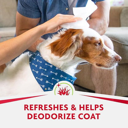 Furminator DeShedding Grooming Wipes for Dogs Refresh and Deodorize Coat Without Bathing, 100 Count