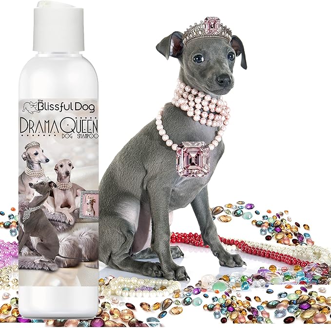 The Blissful Dog Italian Greyhound Drama Queen Dog Shampoo, 8 oz.