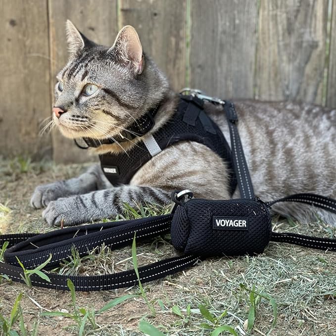Voyager Step-in Air Dog Harness - All Weather Mesh, Reflective, No Pull Harness for Small, Medium Dogs, Cats - Secure with Hook & Loop Fastener, Buckle, Double D-Rings - Black, L