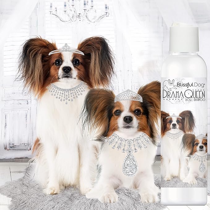 The Blissful Dog Papillon Drama Queen Dog Shampoo, 16-Ounce
