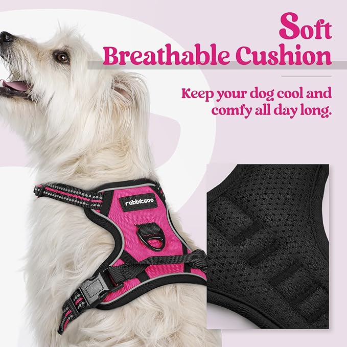 rabbitgoo Dog Harness, No-Pull Pet Harness with 2 Leash Clips, Adjustable Soft Padded Dog Vest, Reflective No-Choke Pet Oxford Vest with Easy Control Handle for Small Dogs, Hot Pink, XS