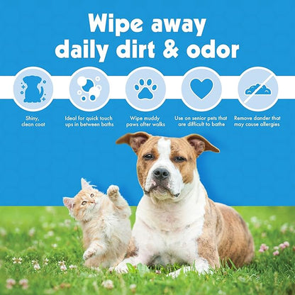 Petkin Jumbo Pet Eye Wipes, 80 Extra Moist Wipes, 2 Pack - Natural Formula Gently Removes Dirt, Discharge, & Tear Stains - Safe, Convenient, & Easy to Use Pet Wipes for Dogs, Cats, Puppies & Kittens