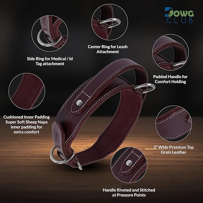Leather Dog Collar with Handle, 2 Inch Wide Saddle Grade Cherry Leather Dog Collar for Medium Dogs | Heavy Duty, Comfortable, Inner Soft Padded | (M (Fit Neck Size 14.5"-18.5"), Cherry)