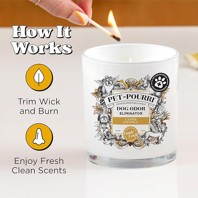 Pet-Pourri Canine Coconut Dog Deodorizer Candle – Puppy & Dog Safe – Plant Based Ingredients & Wax – Vet Approved – Aromatherapy & Air Freshener for Pet Odor – Scented with Coconut, Jasmine & Pear