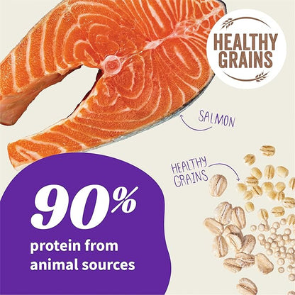 HALO Elevate Dry Dog Food, Healthy Grains Salmon Recipe, 3.5lb