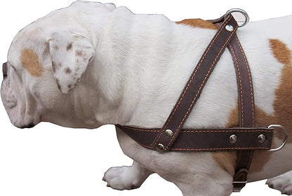 Brown Leather Dog Pulling Walking Harness Large. 31"-35" Chest, 1.5" Wide Straps