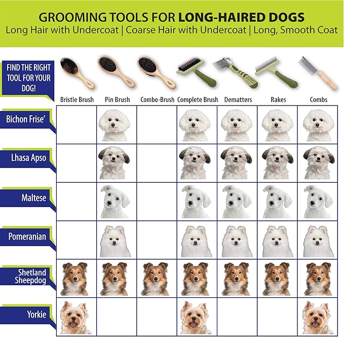 Coastal Pet Safari Dog Self-Cleaning Slicker Brush - Dog Deshedding Brush - Prevents Mats and Tangled Hair - For Dogs with Short or Long Hair - Large - 8" x 4.5"