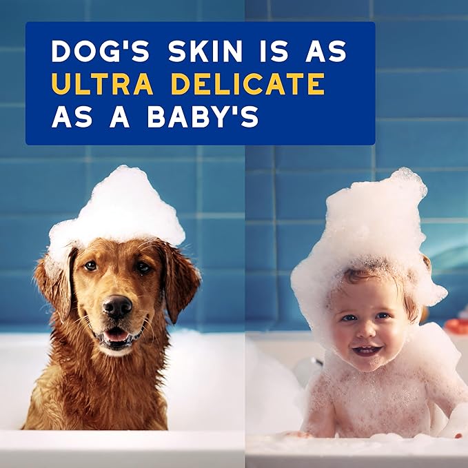 DOUXO® Skin & Coat SPA - Ultra-Safe Oatmeal Dog Shampoo, 16 fl oz, Cleans and Deeply Hydrates The Skin, Enhances The Coat, Leaves The Coat Soft and Radiant, Skin-Friendly Formula