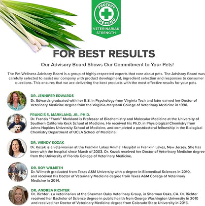 Protect Shampoo for Dogs; No More Scratching, Itching, or Hot Spots with Plant-Based All-Natural Formula with Healthy Essential Oils - Made in USA