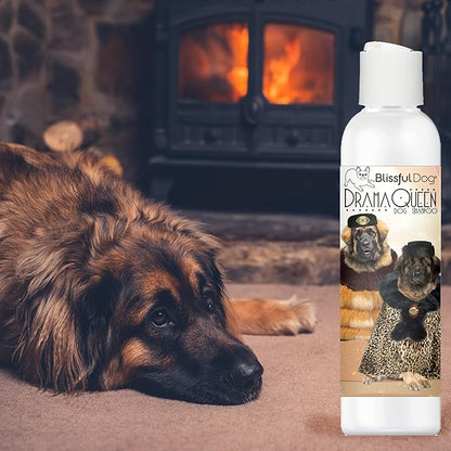 The Blissful Dog Leonberger Drama Queen Dog Shampoo, 8 oz.