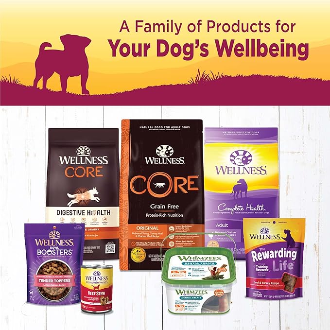 Wellness Natural Pet Food Petite Entrees Casserole Grain Free Natural Wet Small Breed Dog Food, Tender Chicken, Green Beans & Carrots, 3-Ounce Cup (Pack of 24)