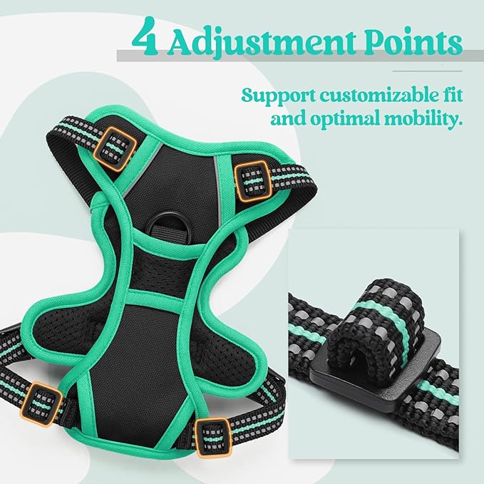 rabbitgoo Dog Harness, No-Pull Pet Harness with 2 Leash Clips, Adjustable Soft Padded Dog Vest, Reflective No-Choke Pet Oxford Vest with Easy Control Handle for Large Dogs, Black & Turquoise, X-Small