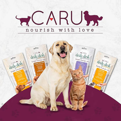 Caru - Daily Dish Smoothies - Lickable Chicken Dog Treat or Pet Food Topper - .5oz Tubes - 4 Tubes per Pack - 12 Pack