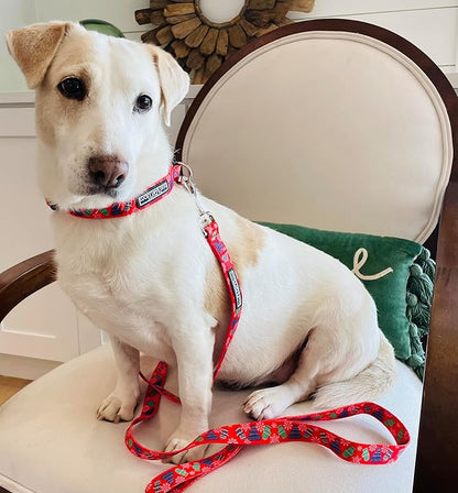 Lucky Love Dog, Winter Stocking Caps and Mittens Dog Collar, Matching Snowflakes Collar for Male and Female Dogs - (Small, Chilly Collar)