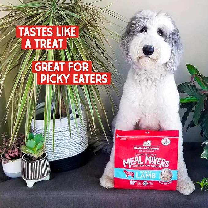 Stella & Chewy's Freeze Dried Raw Dandy Lamb Meal Mixer – Dog Food Topper for Small & Large Breeds – Grain Free, Protein Rich Recipe – 3.5 oz Bag