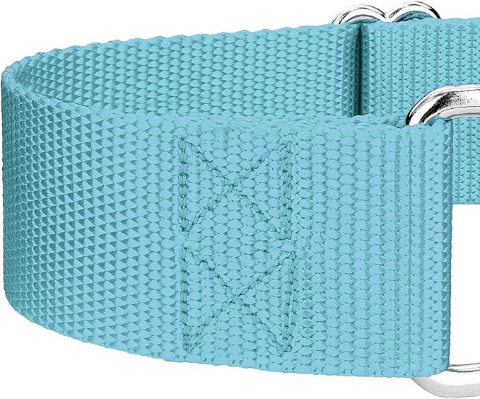 Country Brook Petz 1 1/2 Inch Martingale Heavy Duty Nylon Adjustable Dog Collar for Small, Medium, Large Breeds - Vibrant 17 Color Selection (Ocean Blue, Large)