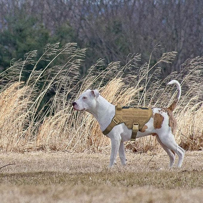 EXCELLENT ELITE SPANKER Dog Harness Tactical Military Dog Harness Adjustable No-Pull Dog Harness Training Hunting Dog Tactical Vest with Handle(COB-S)