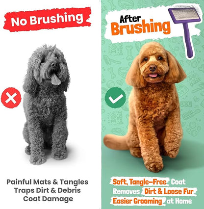 Slicker Brush for Dogs - Doodle Brush - Goldendoodles Labradoodles Bernedoodles - Goldendoodle Must Haves - Poodle Comb and Cases Included - Medium - Purple