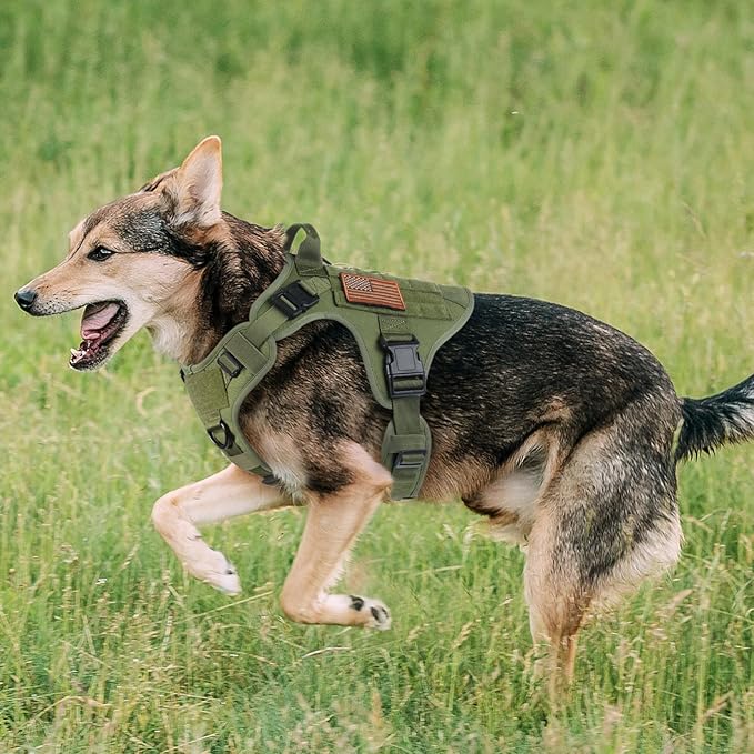 rabbitgoo Tactical Dog Harness for Large Dogs, Heavy Duty Dog Harness with Handle, No-Pull Service Dog Vest Large Breed, Adjustable Military Dog Vest Harness for Training Hunting Walking, Green, M