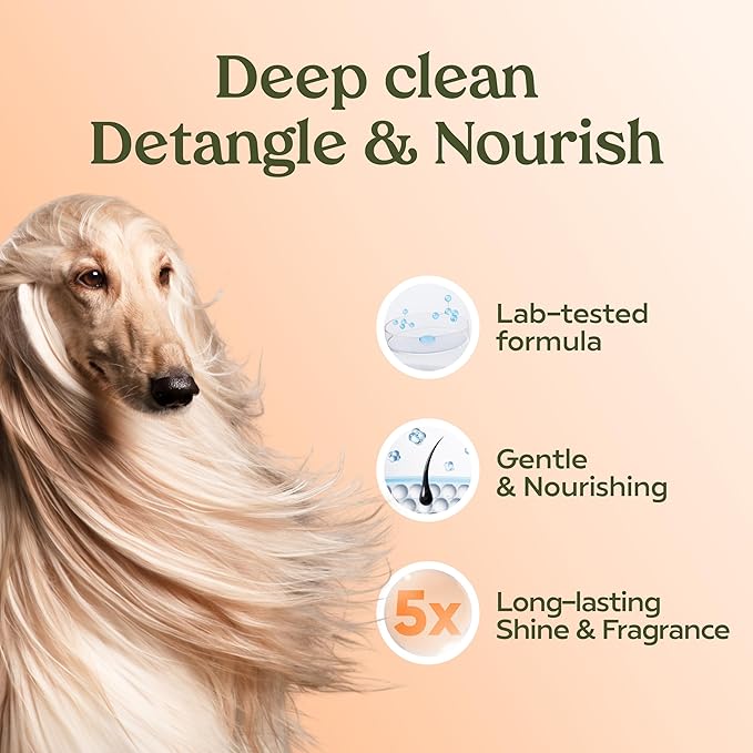 PAWFUME Deshedding Dog Shampoo and Conditioner, Show Dog, 2-Pack – Nourish & Detangle for Silky Soft Coat – Probiotic, Deep-Cleaning, pH-Balanced Formula – Salon-Quality Shampoo for Dogs