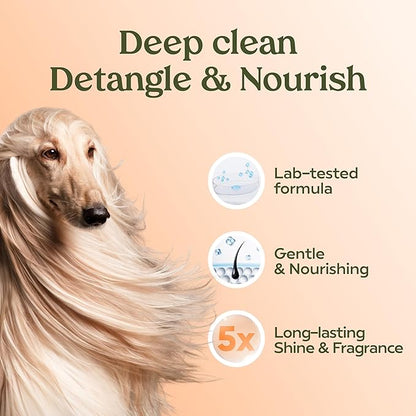 PAWFUME Deshedding Dog Shampoo and Conditioner, Show Dog, 2-Pack – Nourish & Detangle for Silky Soft Coat – Probiotic, Deep-Cleaning, pH-Balanced Formula – Salon-Quality Shampoo for Dogs