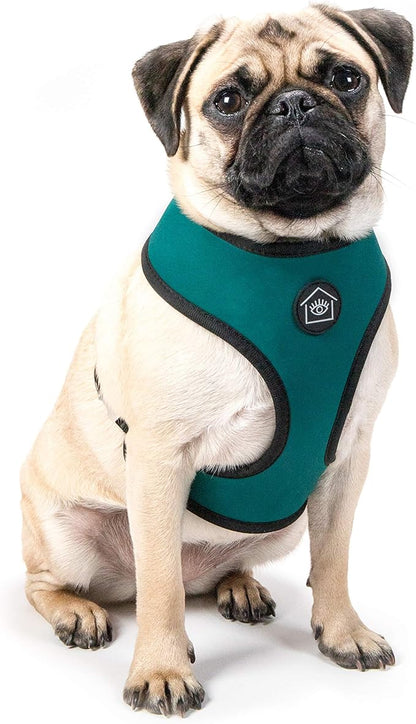 Now House for Pets by Jonathan Adler Leo Reversible Harness, Medium | Stylish, Fashionable, and Functional Way to Keep Your Dog Looking Great | Cute and Adorable Dog Accessories for Pets