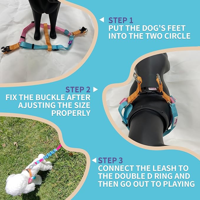 Tri-Color Dog Harness and Purple Pink Gradient Shock Absorbing Dog Leash Set,Step-in Freedom Dog Vest Harness,Strong Padded Handle to Help Stop Pulling for Large Dog Walking and Traning