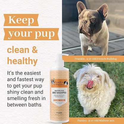 Frankie & Paisley Waterless Dog Shampoo, Natural Dry Shampoo for Dogs or Cats No Rinse Required with Natural Colloidal Oatmeal for a Deodorized Puppy and Quick Grooming - 16 fl. Oz
