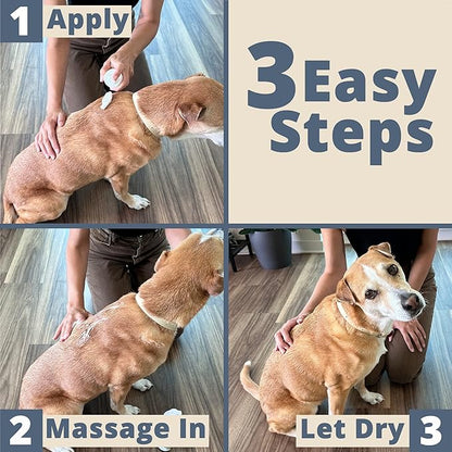 Paw Choice Dry Shampoo for Dogs - Waterless No-Rinse Foam for Odor Removal, Cleaning, Conditioning - Hypoallergenic, Natural - Safe for Sensitive Skin - Made in USA - Mango Pomegranate Scent