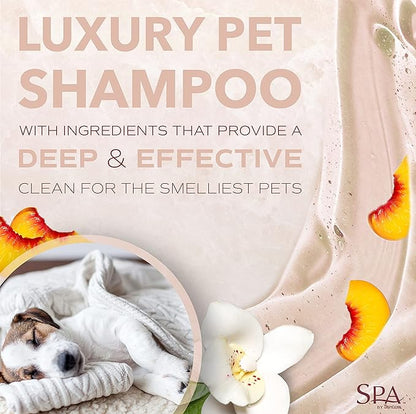 TropiClean SPA Lavish Dog Shampoo | Sporty Scented For Him Deodorizing Dog Shampoo | Naturally Derived Salon Grade Ingredients | Made in the USA | 16oz