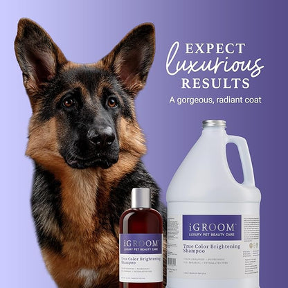 iGroom True Color Dog Shampoo, Luxury Pet Beauty Care, Enhance and Restore Natural Coat Color, Add Moisture, Made in USA, 1 gal