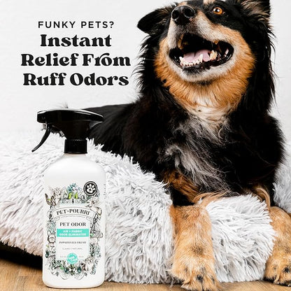 Pet-Pourri Pet Odor Air + Fabric Odor Eliminator Spray, Pawsitively Fresh, 16 Fl Oz