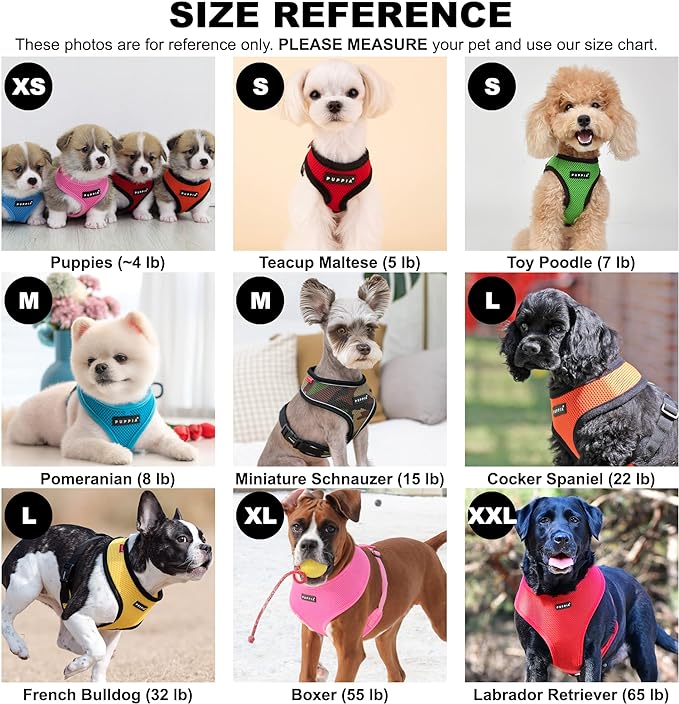 Puppia Soft Dog Harness, Wine, X-Large (PDCF-AC30-WN-XL)