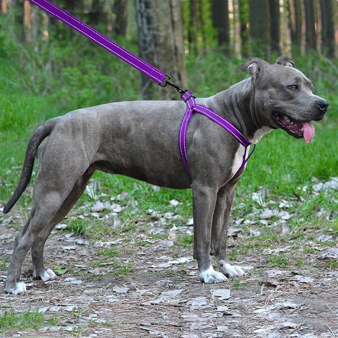 CollarDirect Reflective Dog Harness Step in Small Medium Large for Outdoor Walking, Comfort Adjustable Harnesses for Dogs Puppy Pink Black Red Purple Mint Green Orange Blue (Small, Purple)